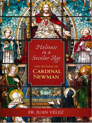 cover image of Holiness In a Secular Age